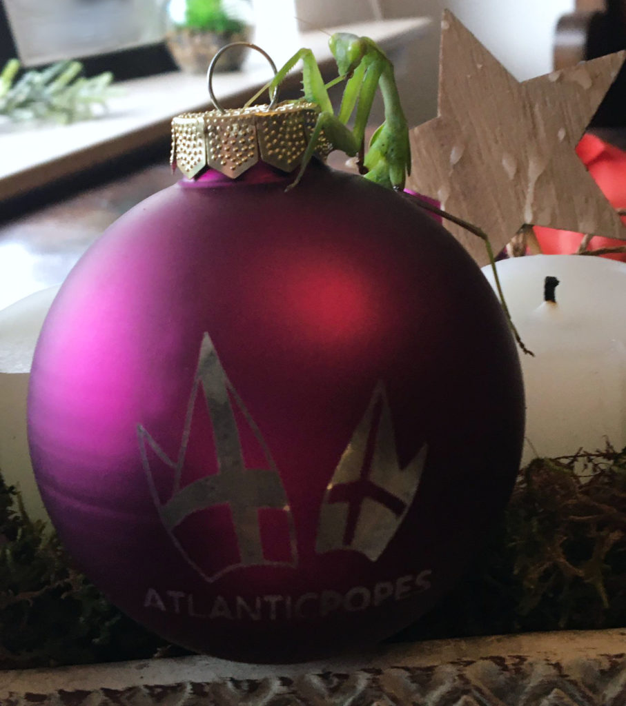 AtlanticPopes-Weihnachtskugel-Mantis2